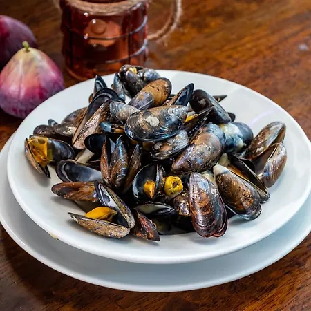 Gasthuis Foley's & Self Catering Homes