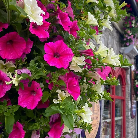 Foley's & Self Catering Homes Affittacamere Kenmare