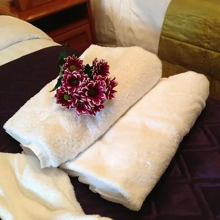 Gasthuis Foley's & Self Catering Homes Kenmare